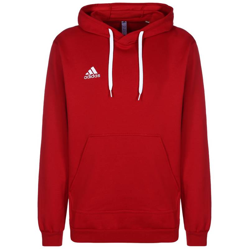 adidas Entrada 22 Hoodie Herren
