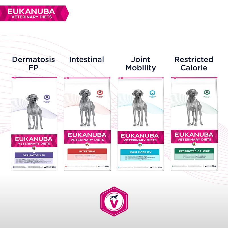 Eukanuba VETERINARY DIETS Dermatosis zu TOP-Preisen