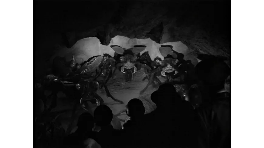 Formicula (Creature Feature Collection #9)