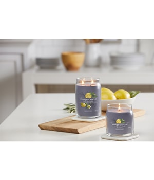 Yankee Candle Black Tea & Lemon Duftkerze-368 g