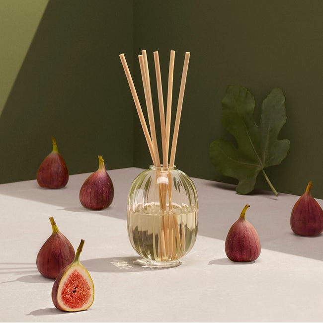Figuier - Diffuseur de parfum d'intérieur