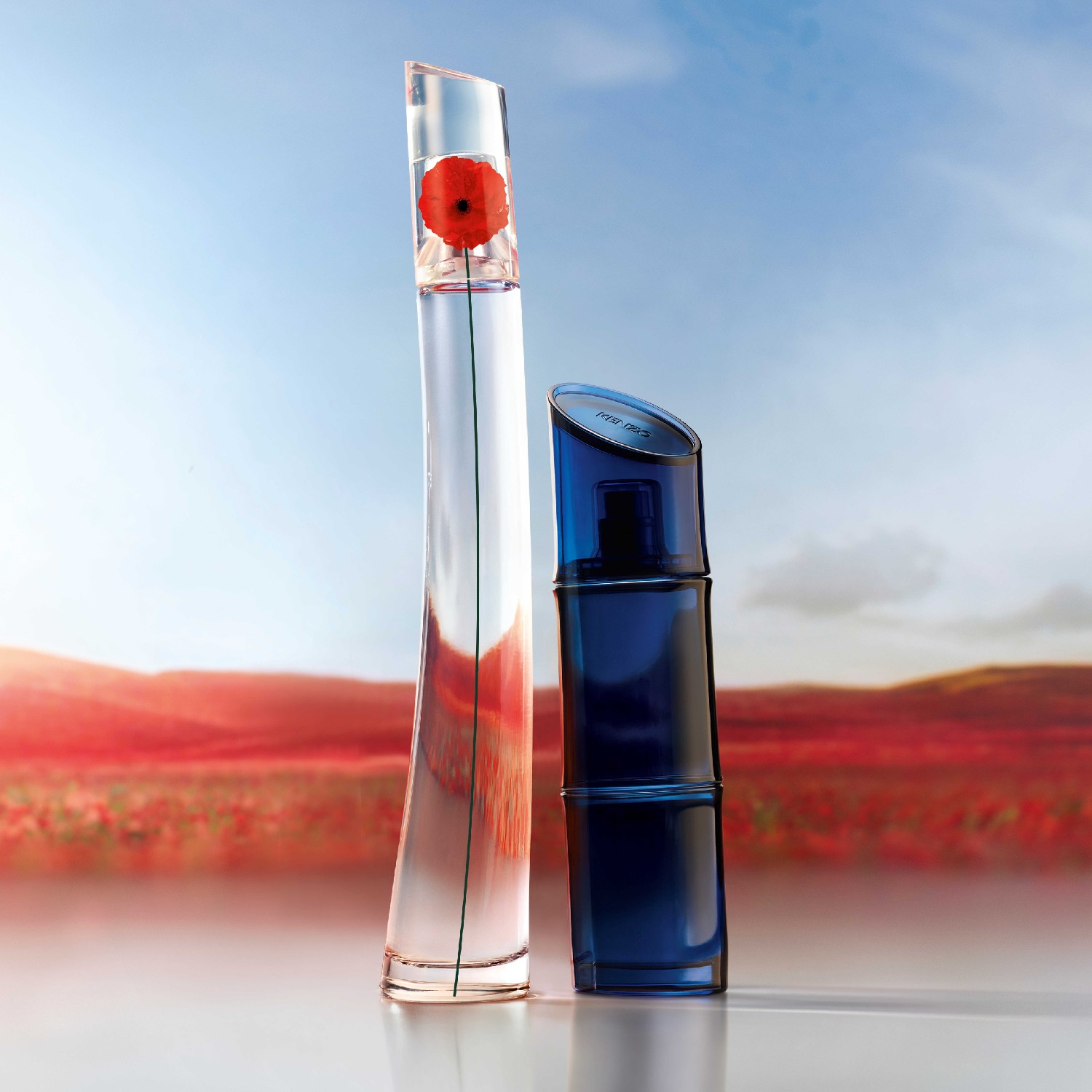 FBK EDP LA RESSOURCE