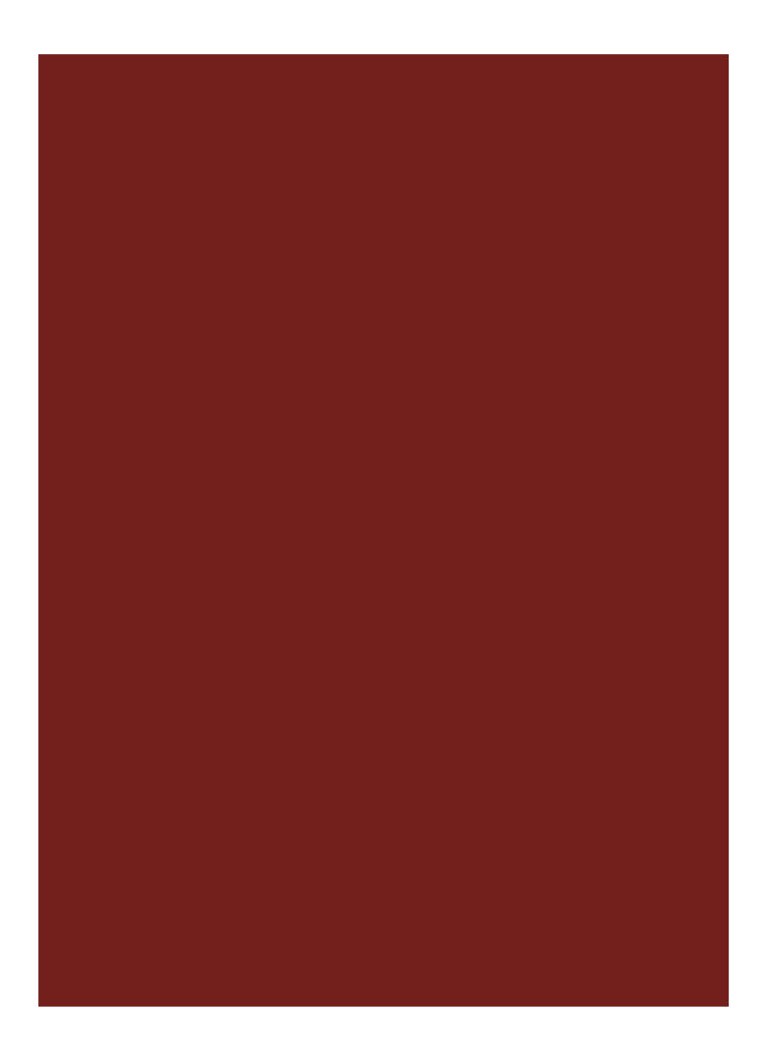 Bobbi Brown Luxe -huulipuna