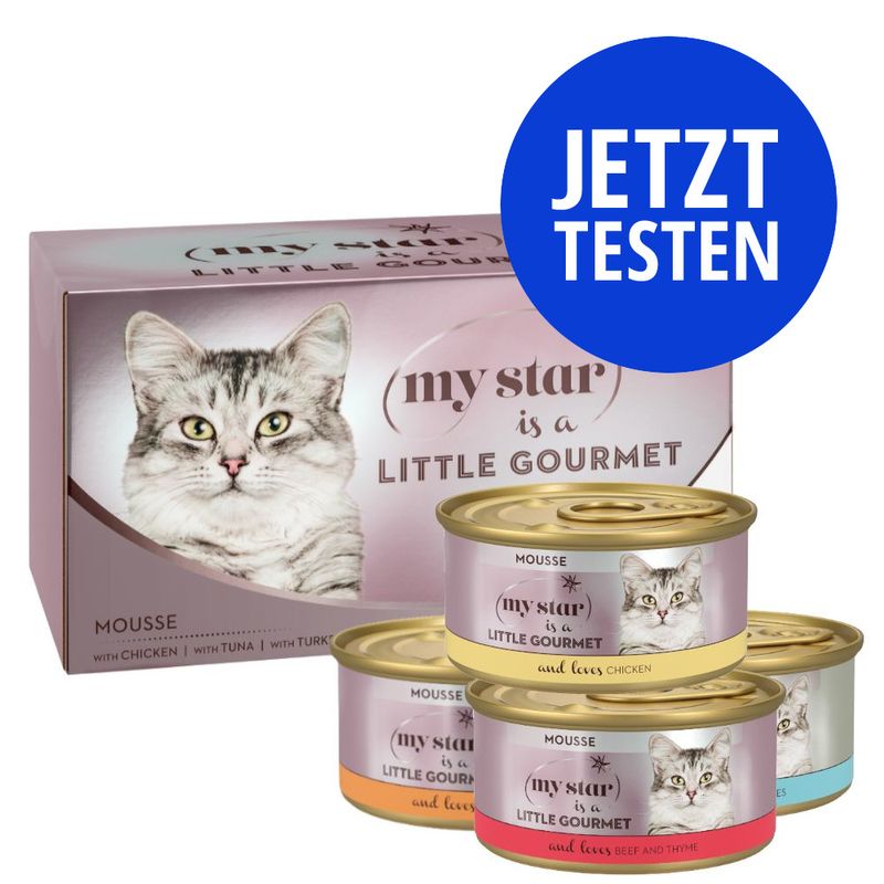 Probierpaket My Star Mousse Gourmet Dose 4 x 85 g zu TOP-Preisen