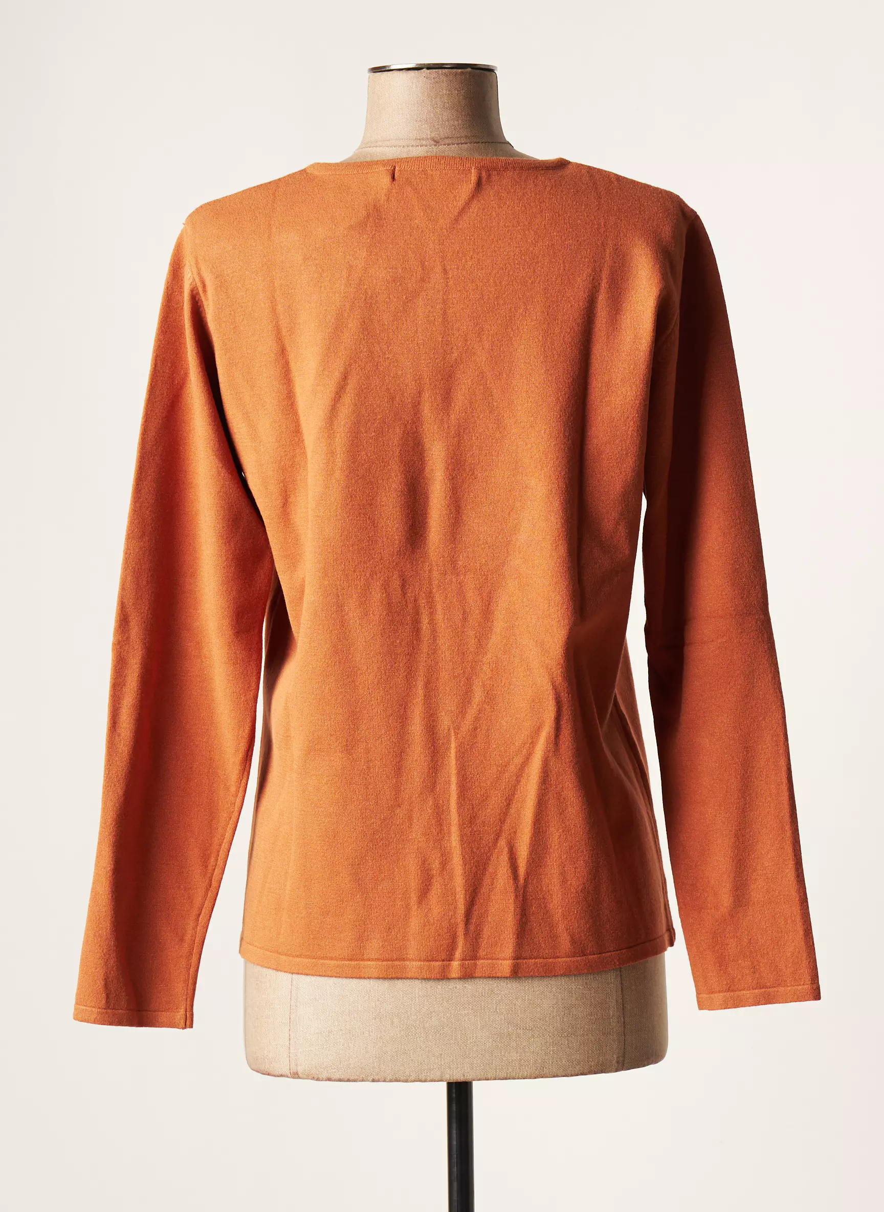 Griffon Cardigans Femme couleur marron
