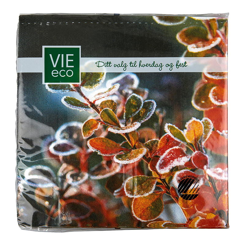 Vie Eco Servietter 20-pk 33x33 cm, Vinter