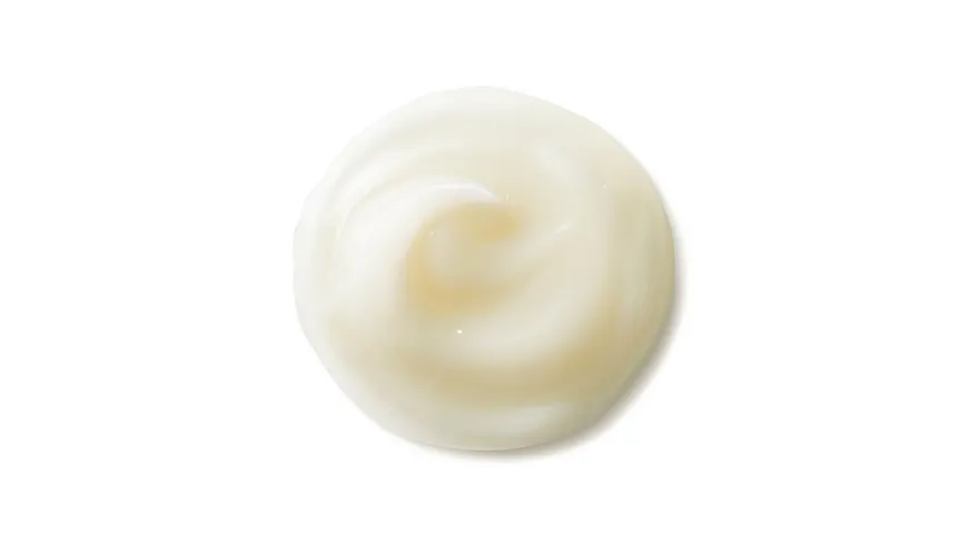 SHISEIDO Benefiance Nutriperfect Day 50 ml