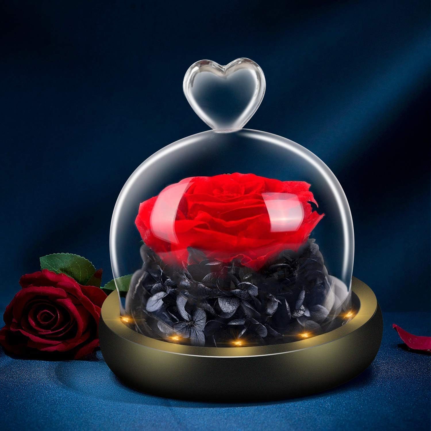 Kunstblume Blume Konservierte Rose Ewige Rose LED Lichterkette Hochzeit, AKKEE, Höhe 13 cm, Geschenke für Valentinstag, Muttertag, Jubiläum, Weihnachtstag