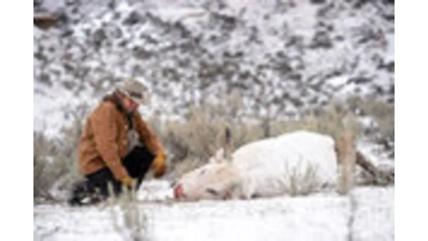 Wind River