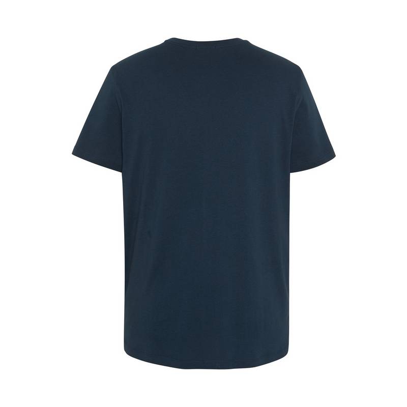 Chiemsee T-Shirt T-Shirt Herren