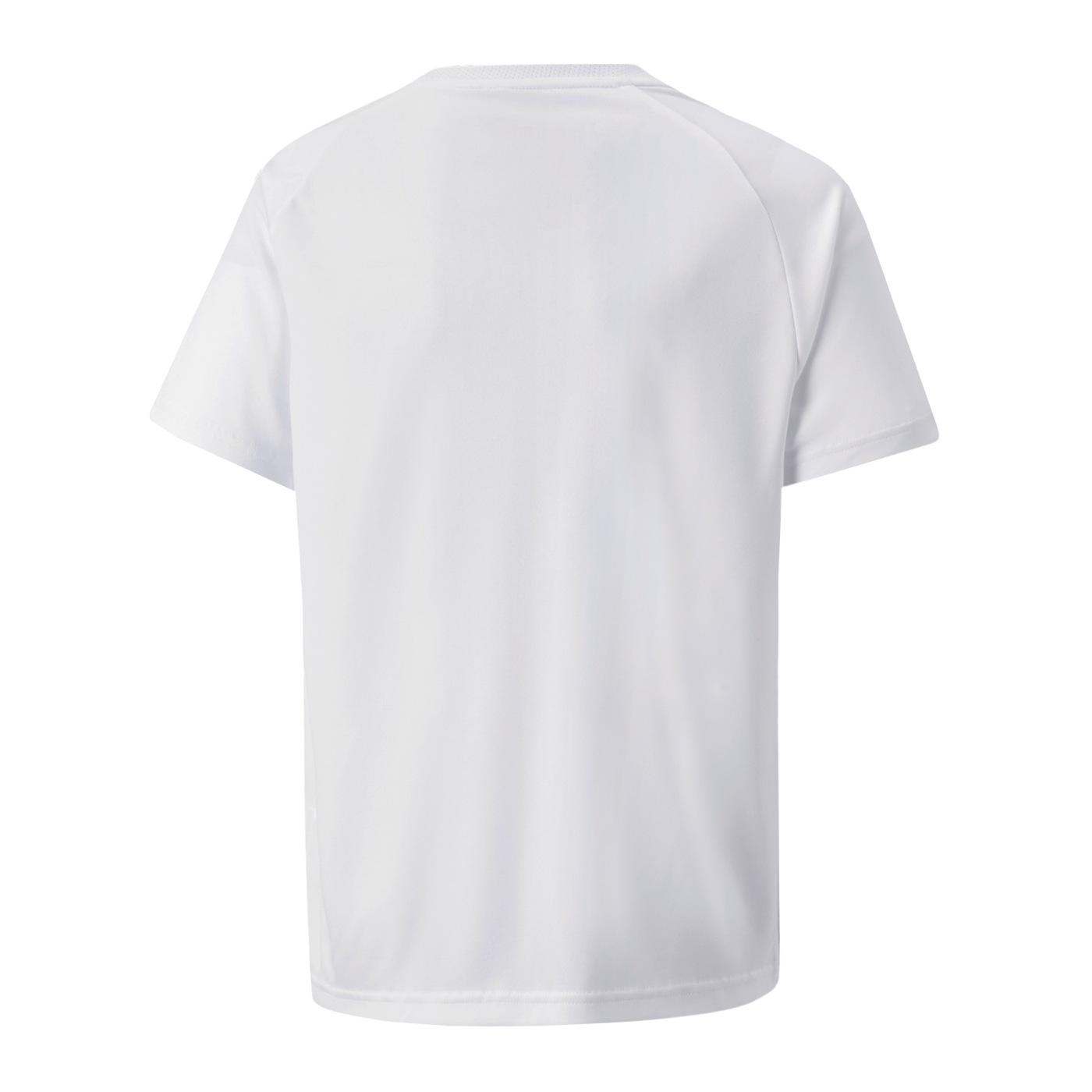 PUMA teamVISION Trikot Kids Weiss Grau F04