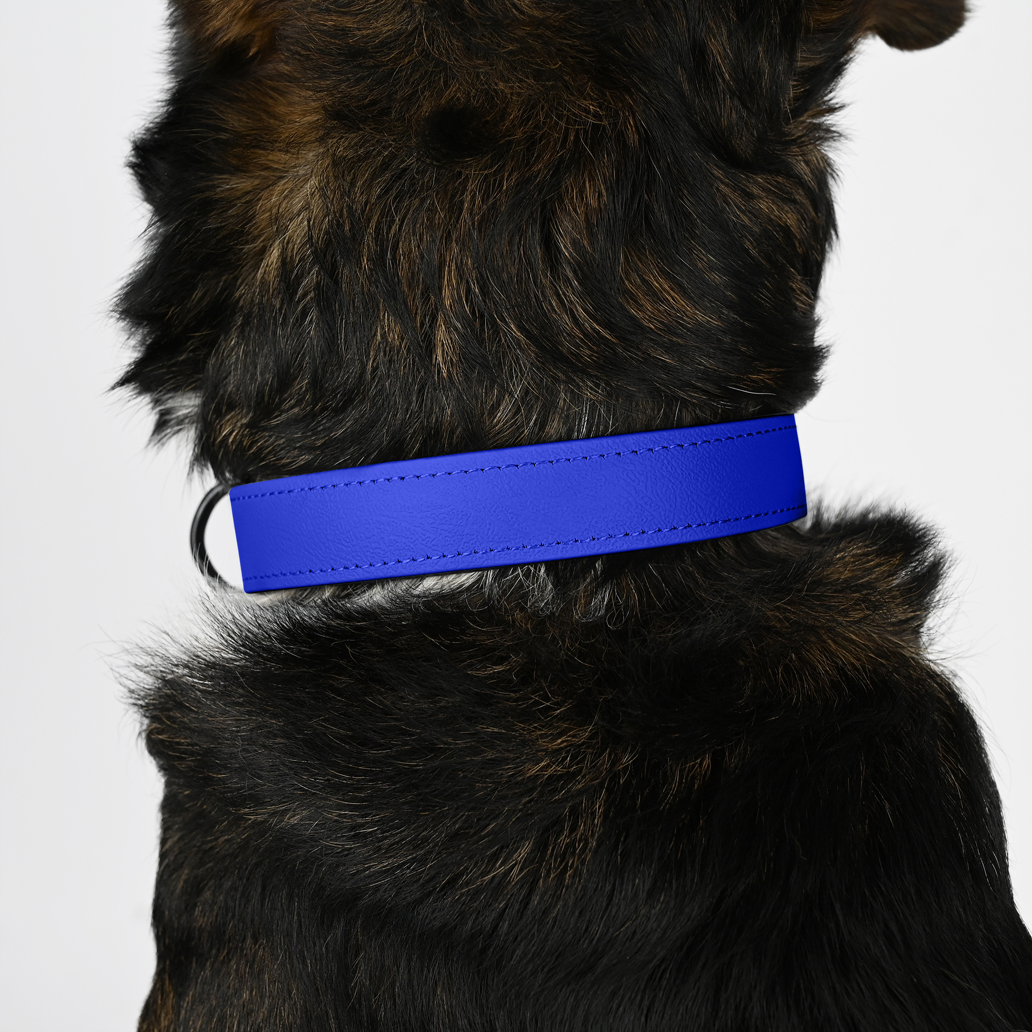 THE DOG IDEA Hundehalsbänder THE DOG IDEA Biothane Halsband Blau S