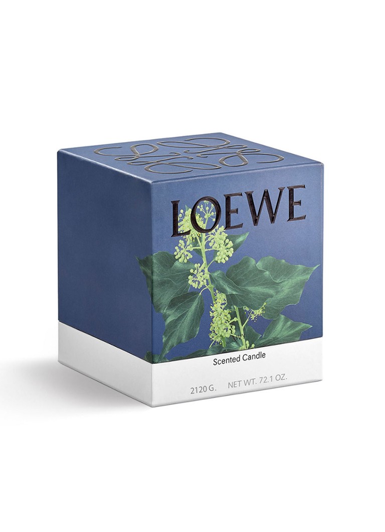 Lumânare parfumată mare cu aromă de iederă de la LOEWE - 2120 grame