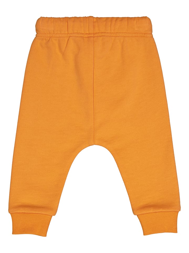 Fred´s World by GREEN COTTON Sweathose in Orange günstig kaufen