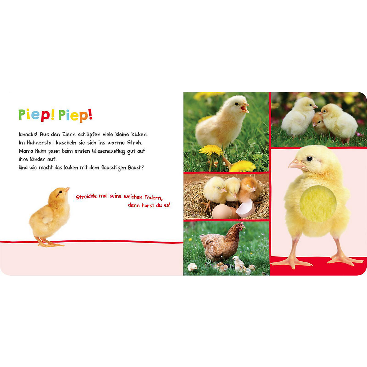 Hör mal rein, wer kann das sein - Im Frühling