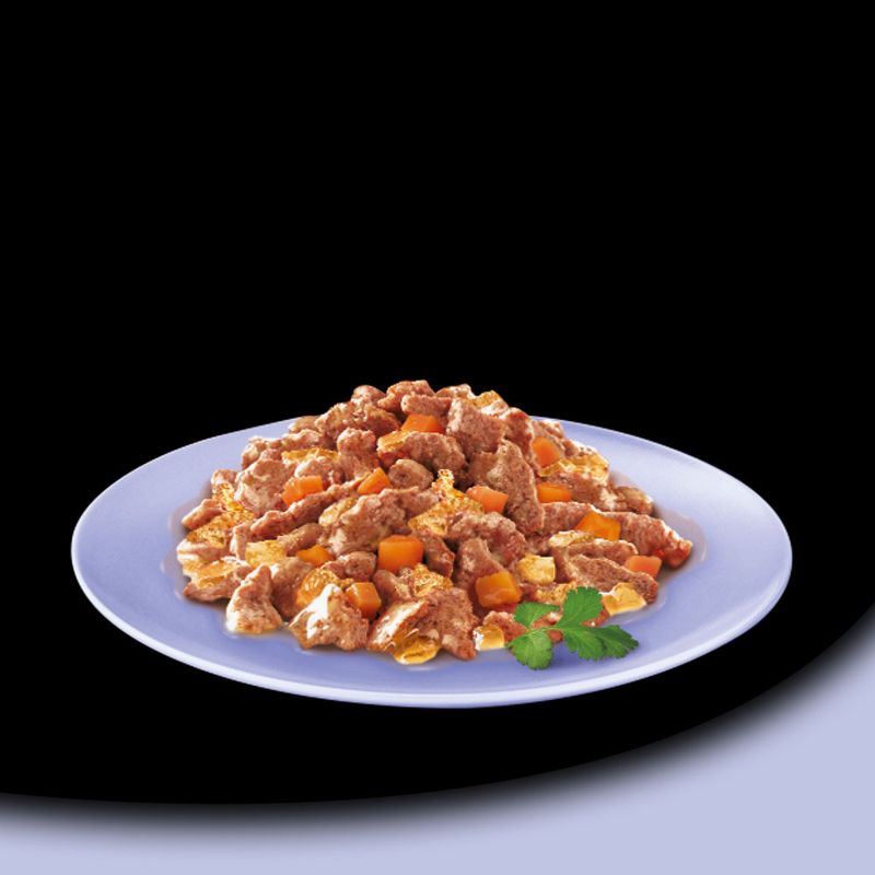Cesar Schale 14 x 150 g