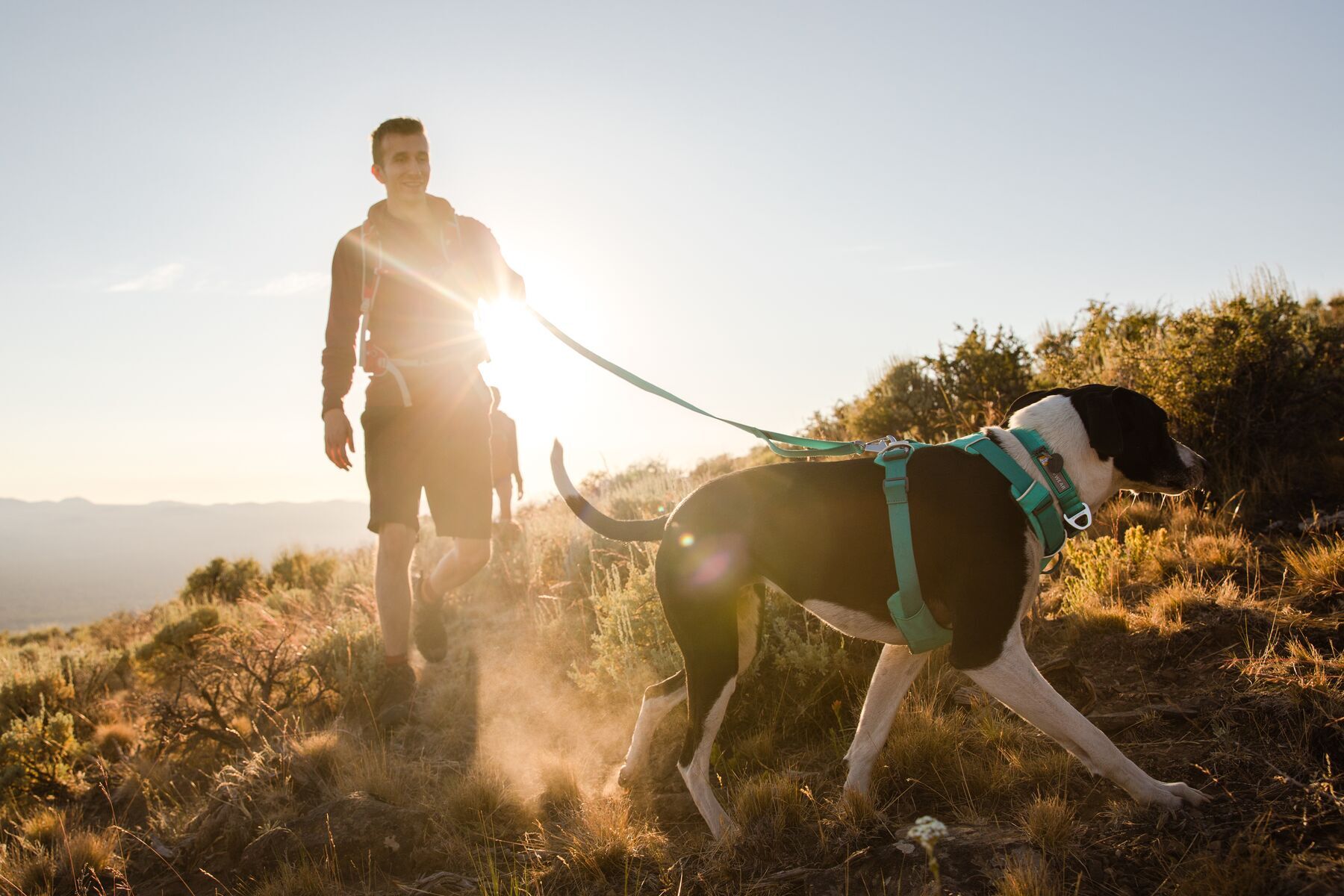Ruffwear Hundeleinen Ruffwear Front Range™ Leine blau/ türkis