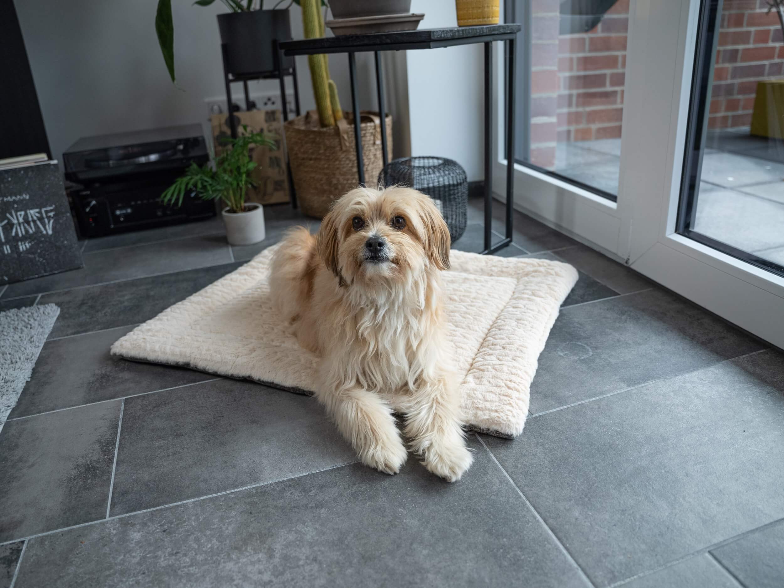 TrendPet Hundedecken TrendPet Heaven gefütterte Liegedecke beige M