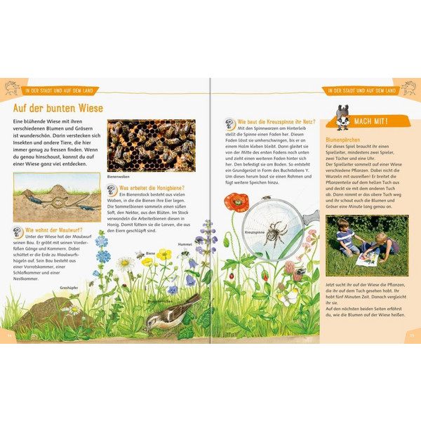 Mein großes Natur-Erlebnisbuch - Kinderbuch