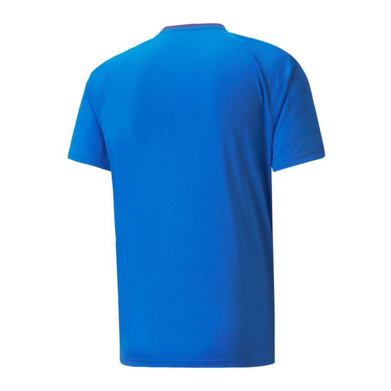 PUMA teamVISION Trikot Trikot Herren