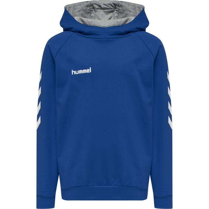 hummel HMLGO KIDS COTTON HOODIE Hoodie Kinder
