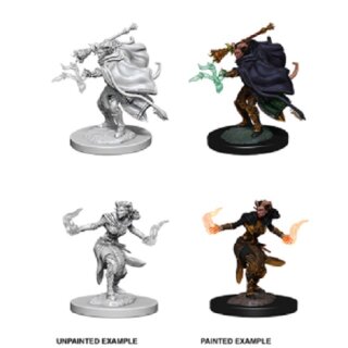 Female Tiefling Warlock: Nolzurs Marvelous Unpainted Minis