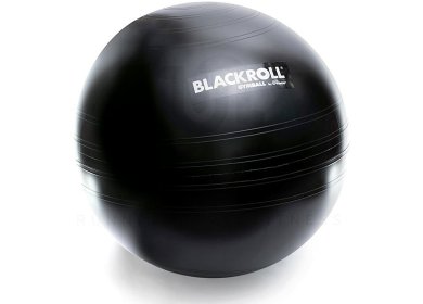 Blackroll Gymball 65