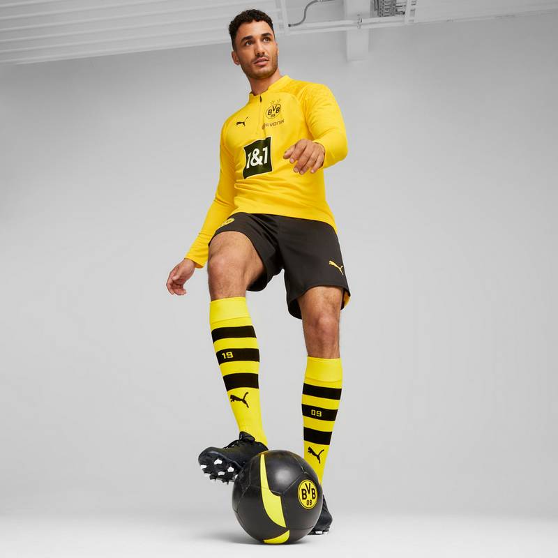 PUMA Borussia Dortmund Funktionsshirt Herren
