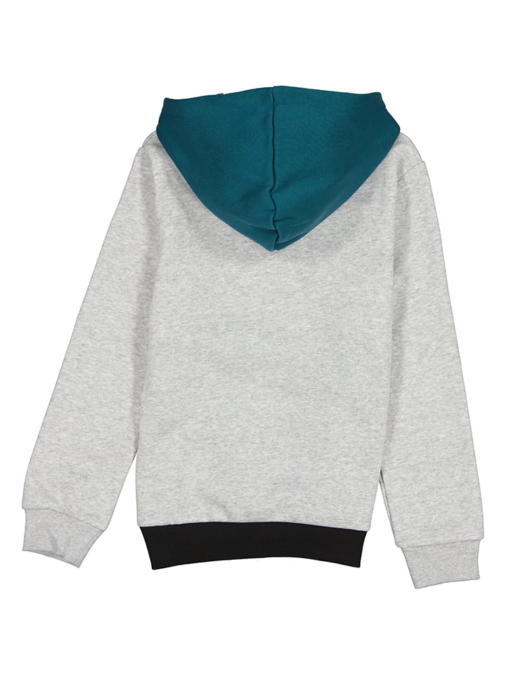 Puma Hoodie 