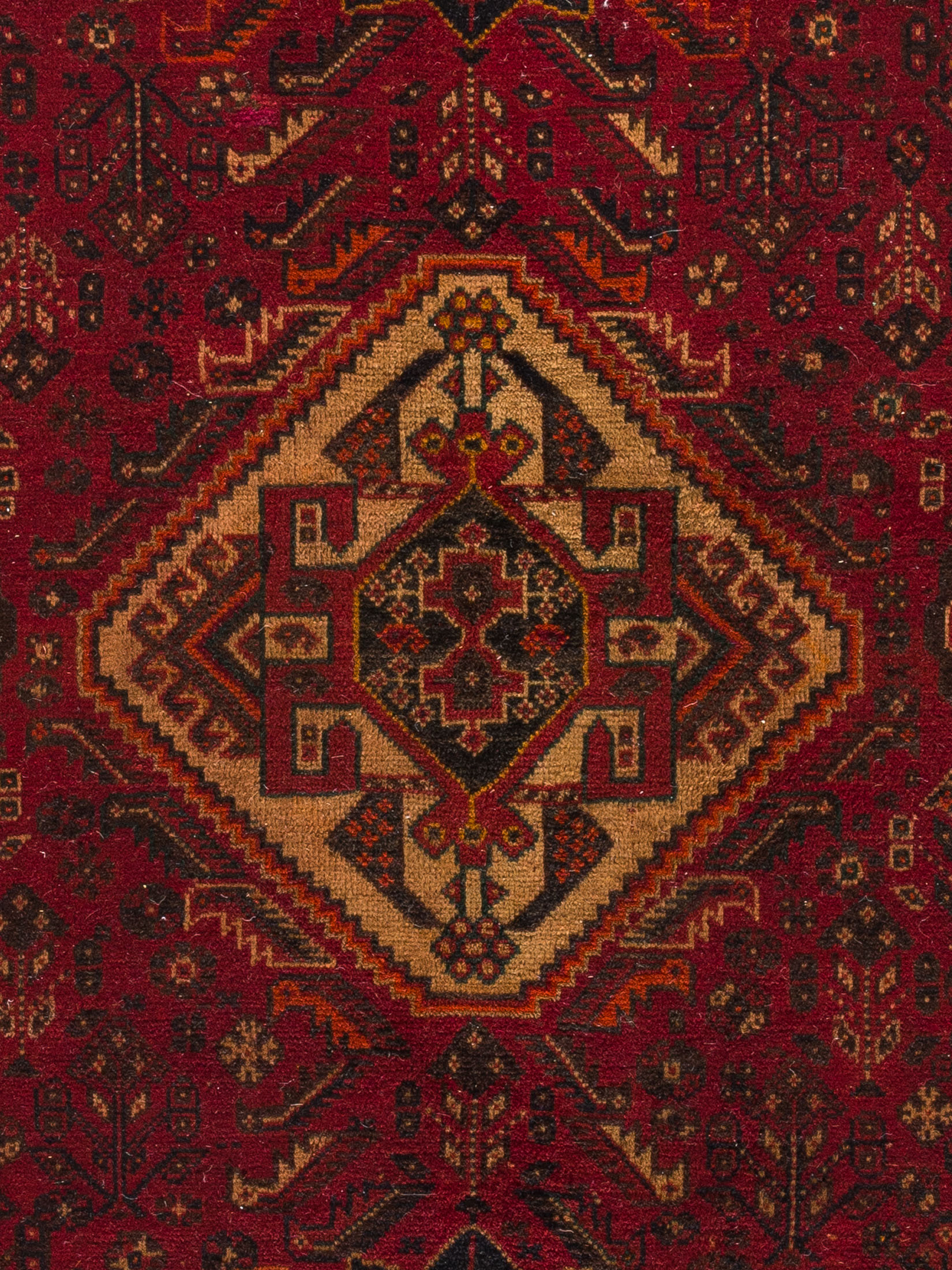 Shiraz ca. 215 x 320 cm, Unikat / Einzelstück