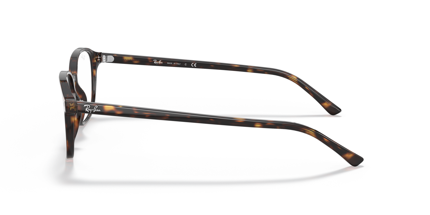 LEONARD OPTICS - Lucido Havana