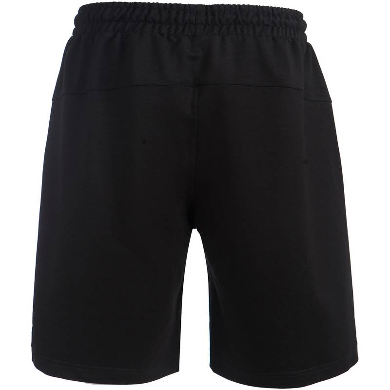 Endurance Prince Funktionsshorts Herren