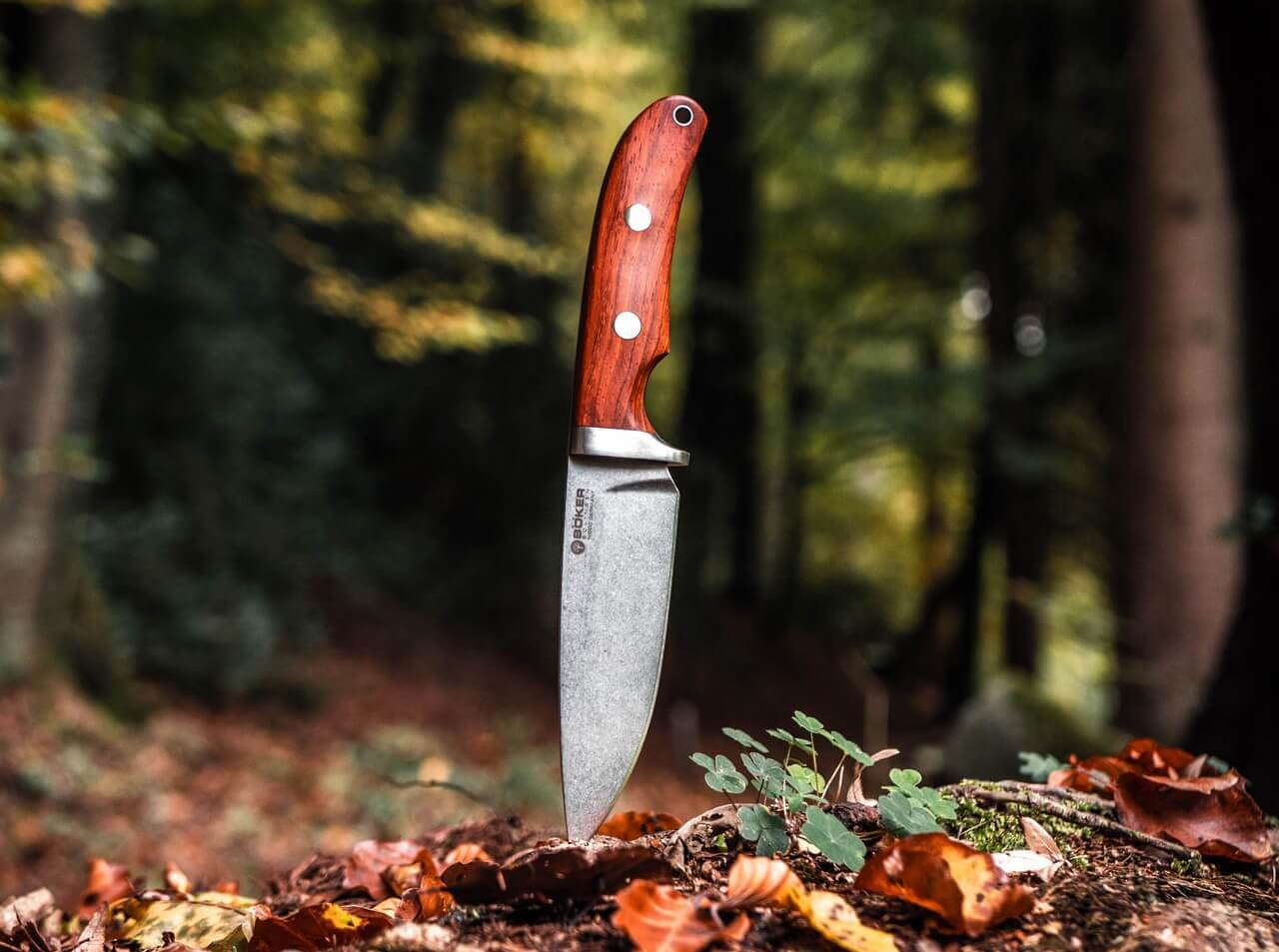 Savannah Cocobolo