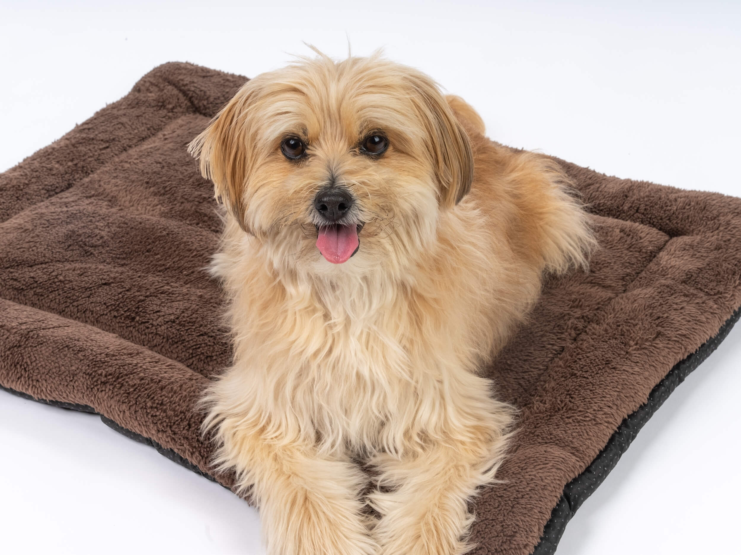 TrendPet Hundedecken TrendPet SoftPad gefütterte Liegedecke braun XL