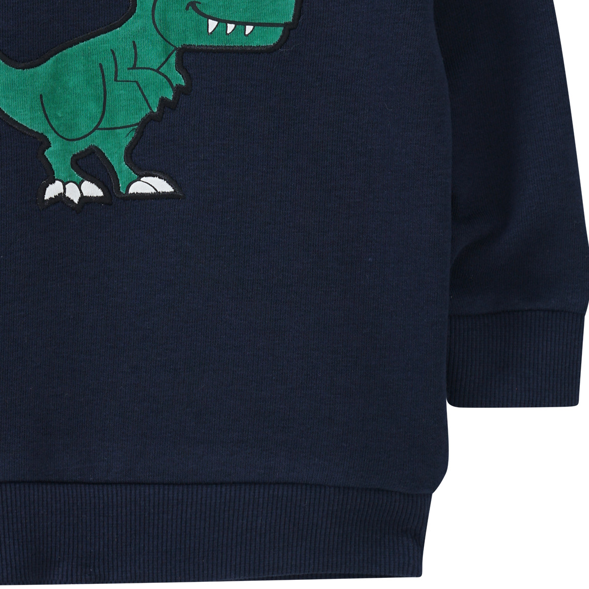 Baby Sweatshirt mit Dino-Applikation