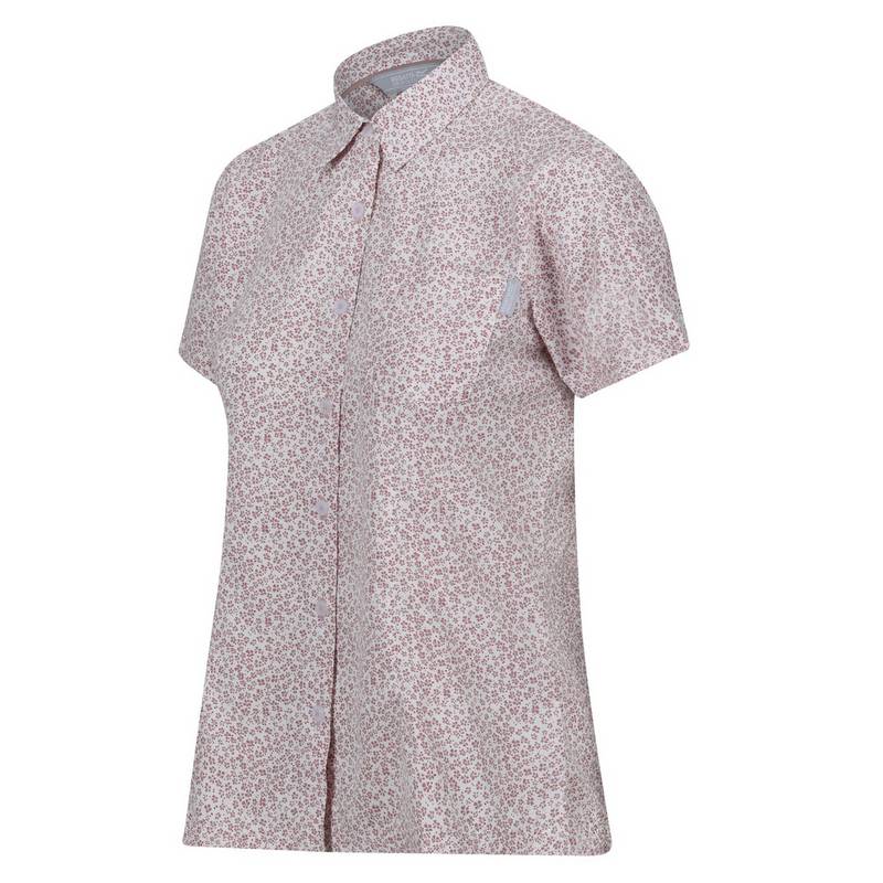 Regatta Mindano VII Funktionsbluse Damen