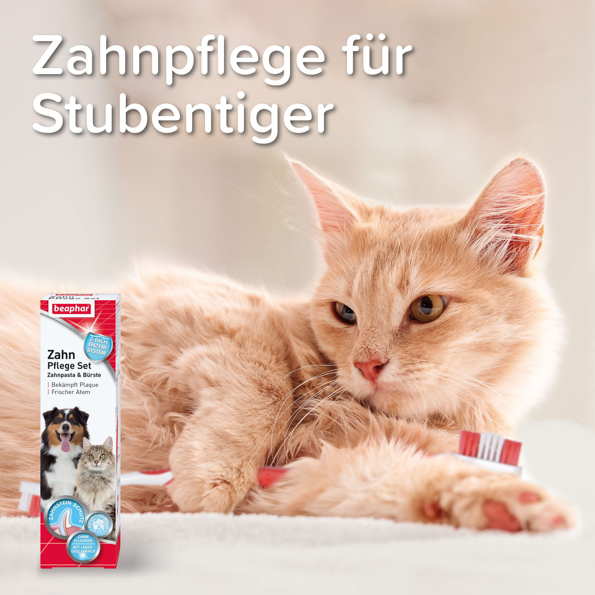 Beaphar Zahnpflege Beaphar Zahnpasta & Zahnbürste
