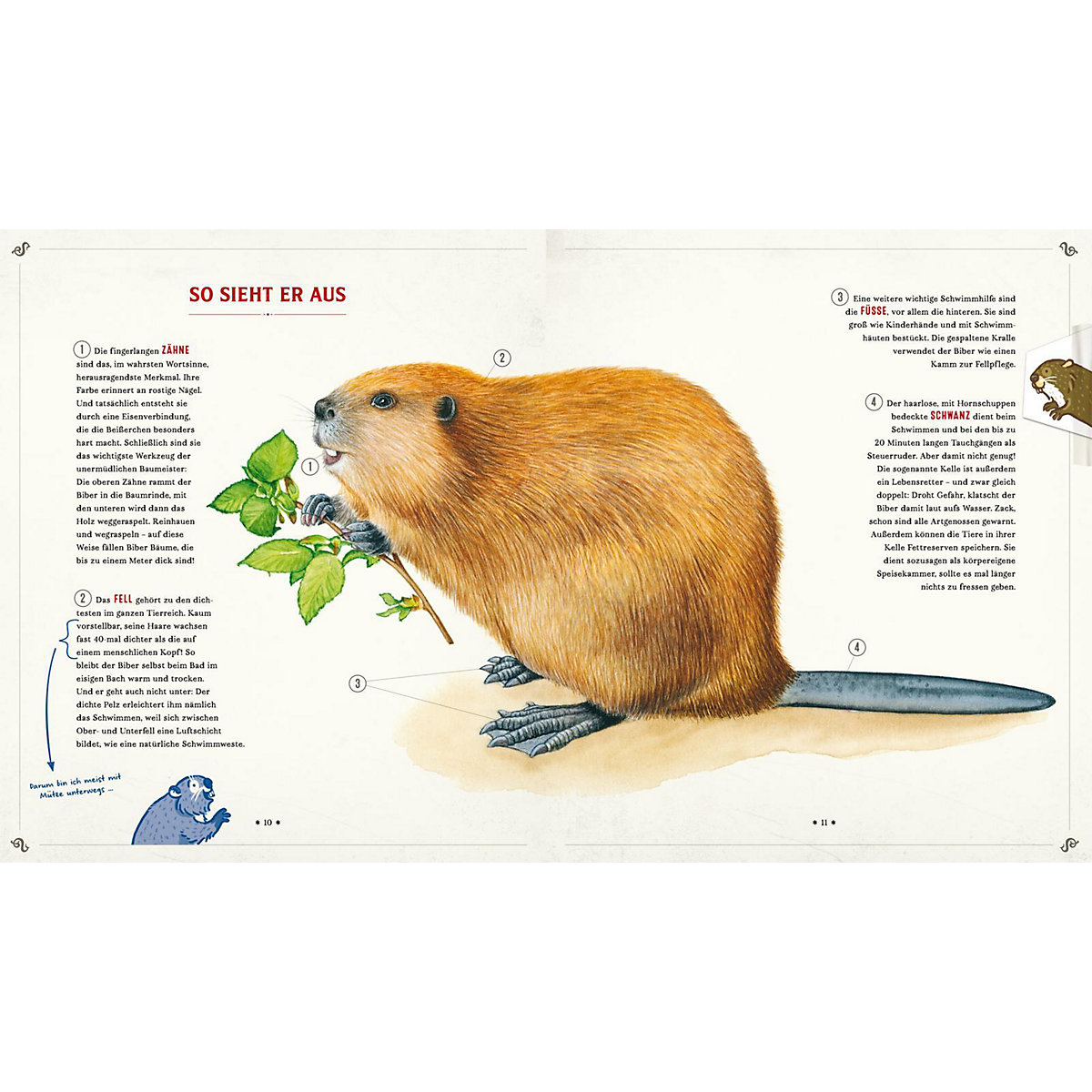 Die Schule der magischen Tiere: Mister Morrisons gesammeltes Tierwissen