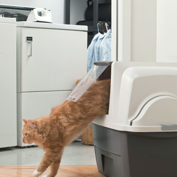 Selbstreinigende Katzentoilette Smart Sift