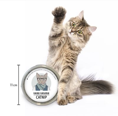 Kater Kasimir Katzenminze