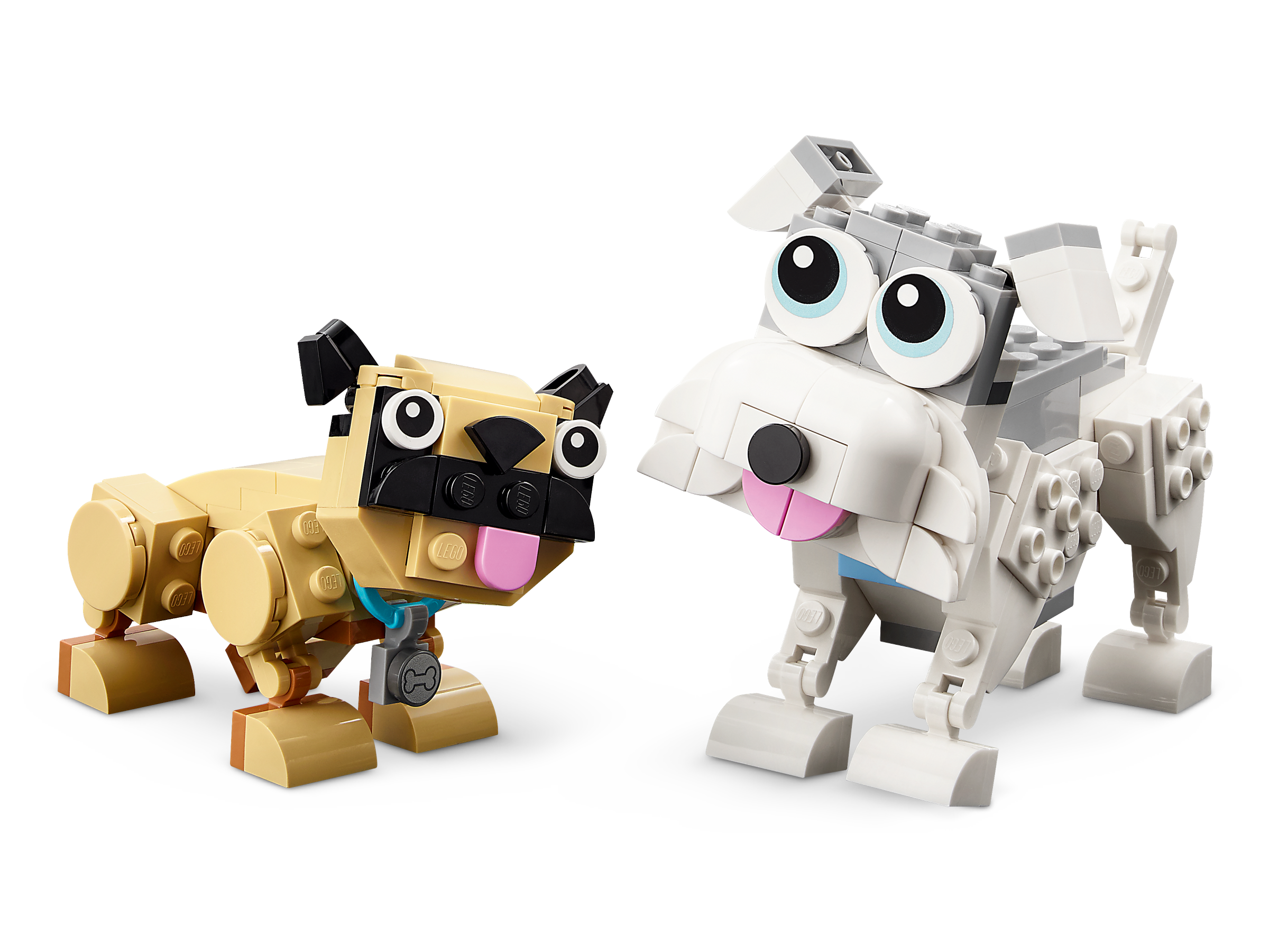 Niedliche Hunde 31137
