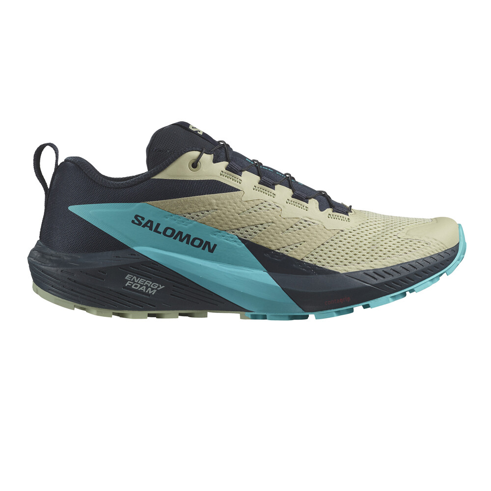 Salomon Sense Ride 5 L47458500 / grau