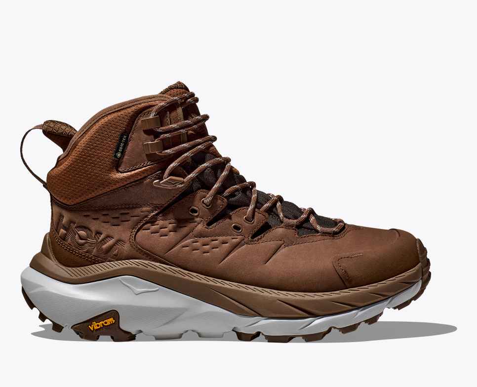 Kaha 2 GORE-TEX Dark Brown/Harbor Mist