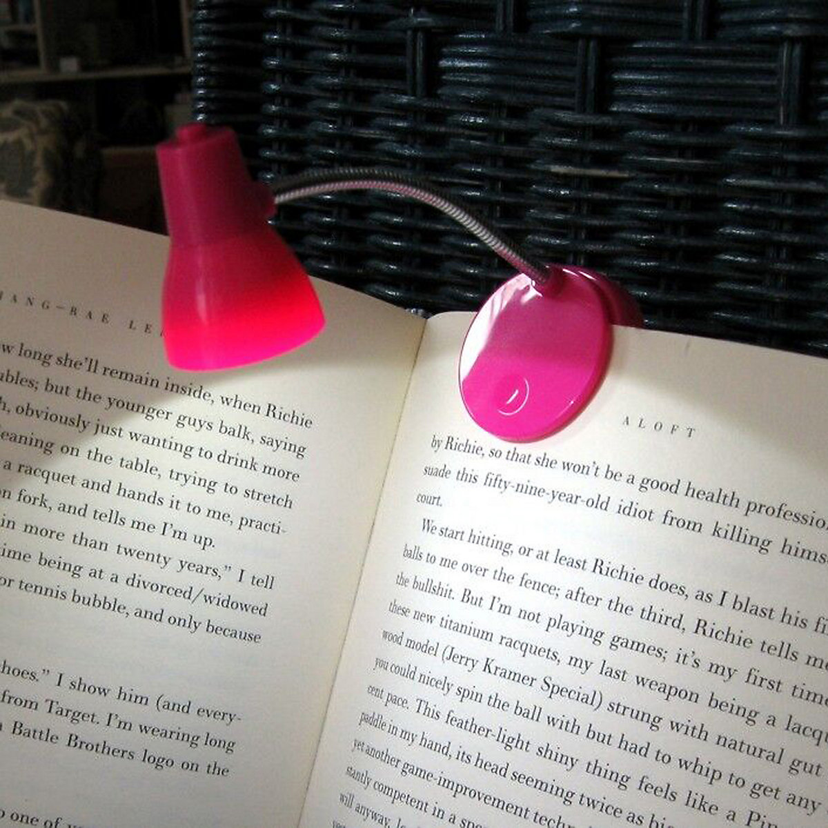 Little Lamp Pink