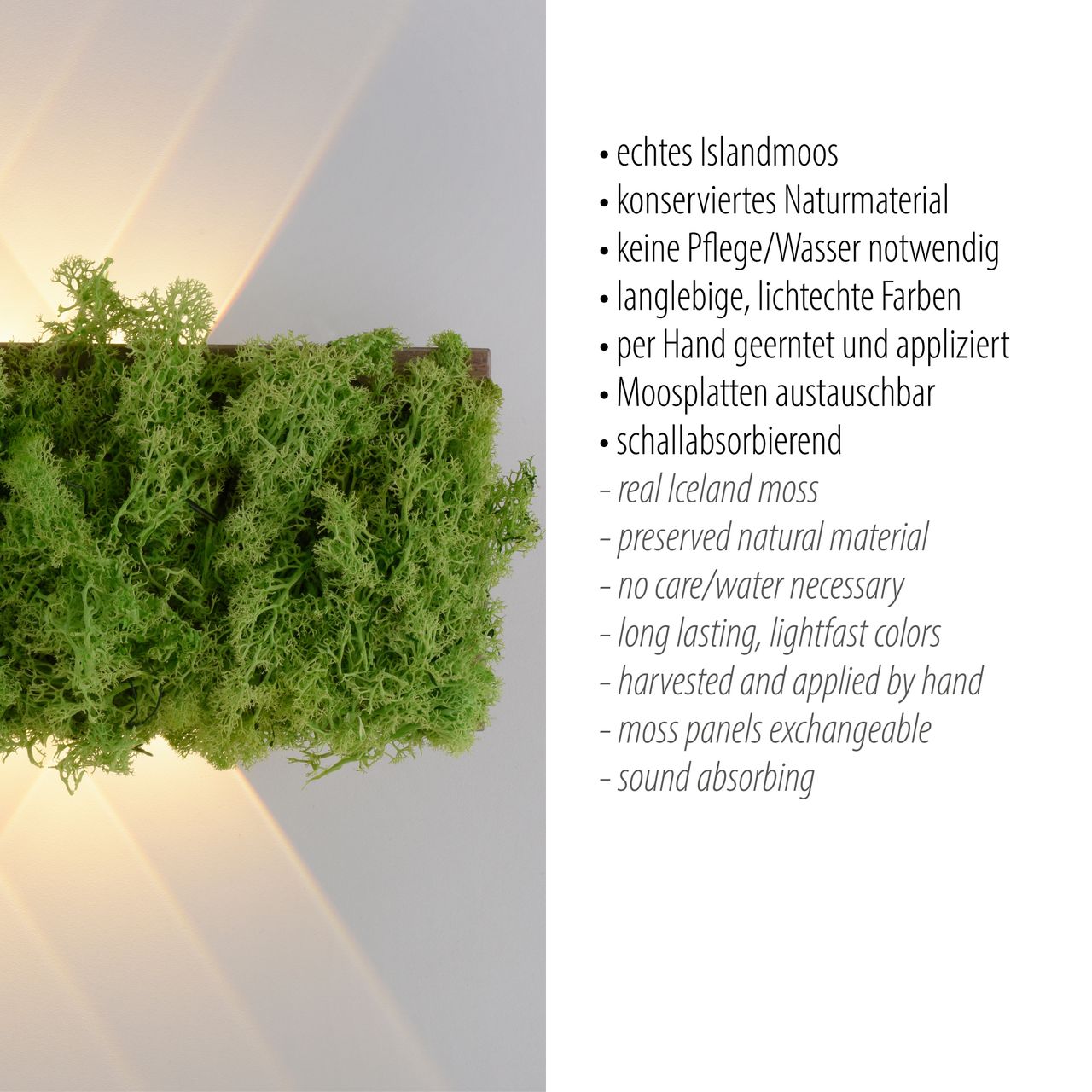 JUST LIGHT LED Wandleuchte GREEN CARLO, mit echtem Moos, 3000 K