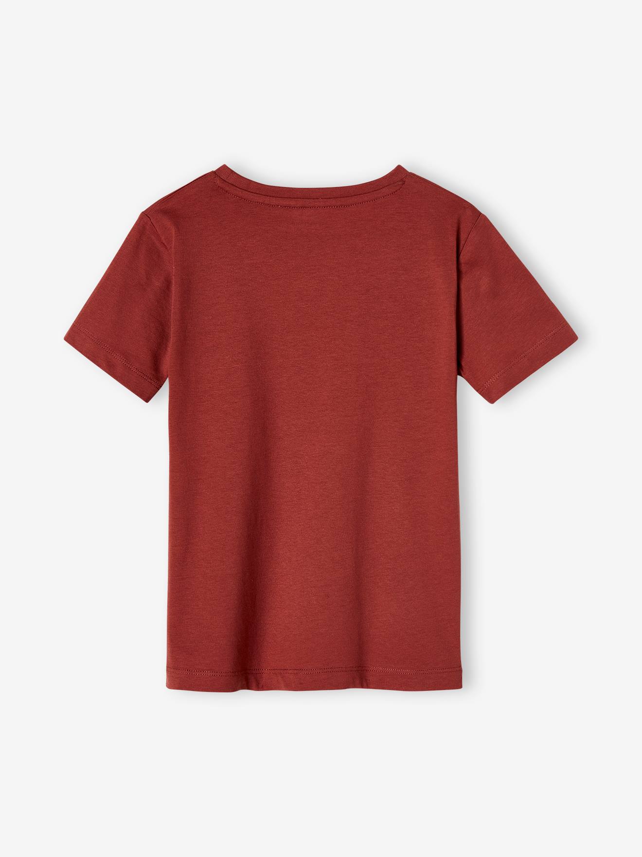Lot de 3 T-shirts Basics garçon manches courtes lot mastic