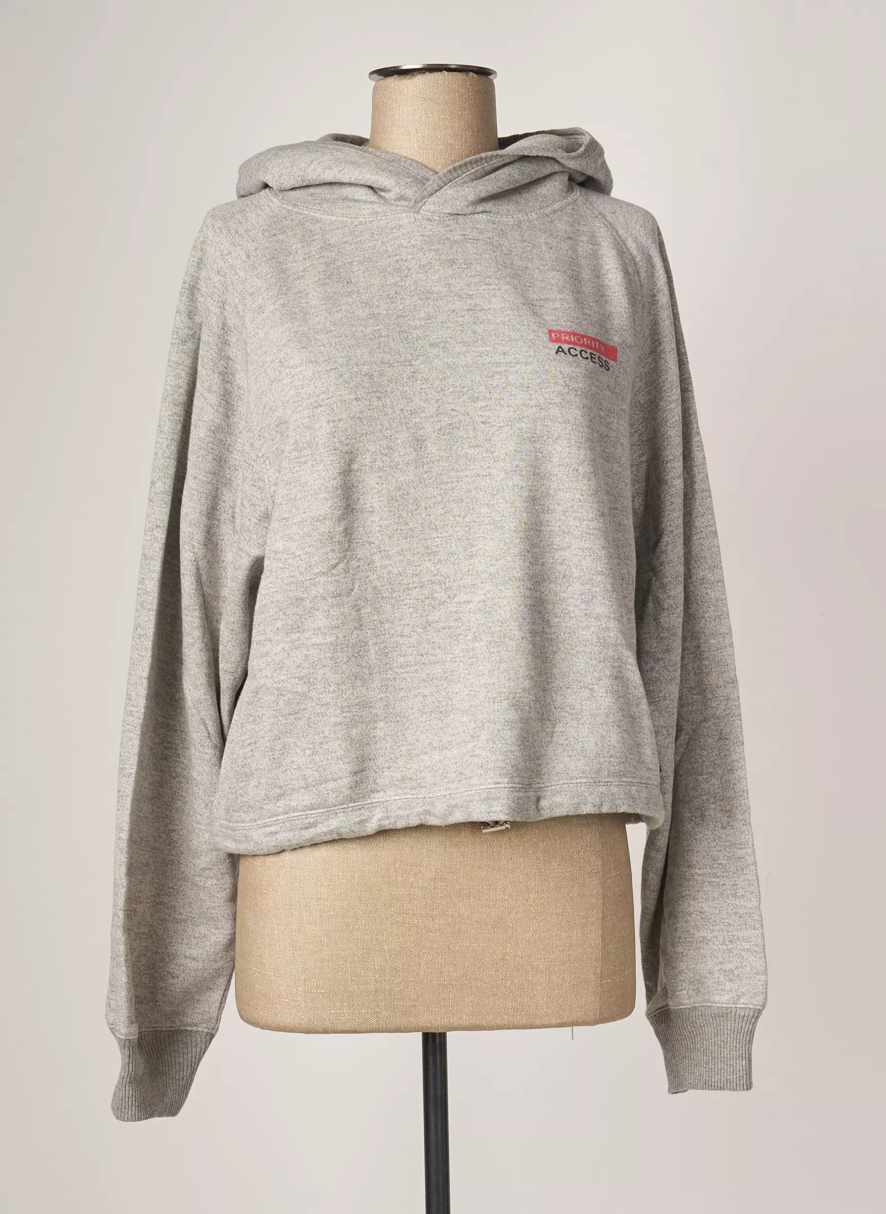 Heaven May Sweat Capuche Femme couleur gris
