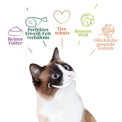 Yarrah Bio Pâté  6 x 400 g