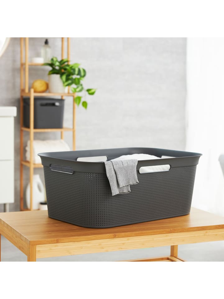 Rotho Brisen 4er-Set Wäschekorb 40l, Kunststoff (PP) BPA-frei in Anthrazit günstig kaufen onesize