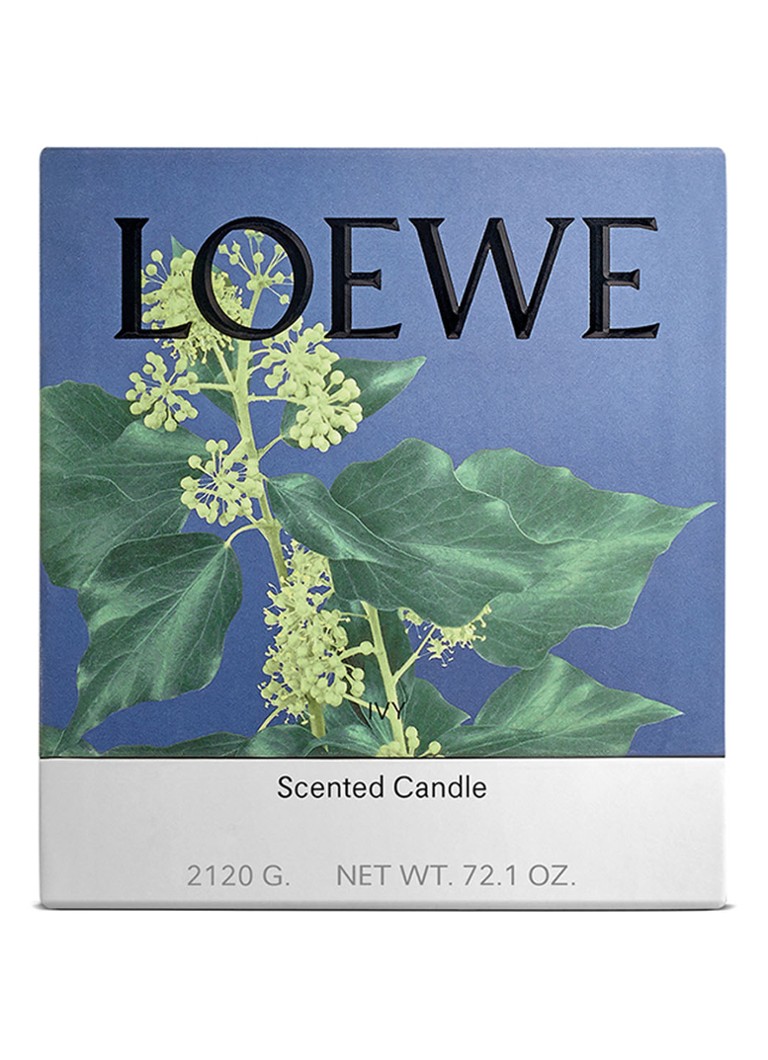 LOEWE Lielā efejas svece - aromātiskā svece 2120 grami